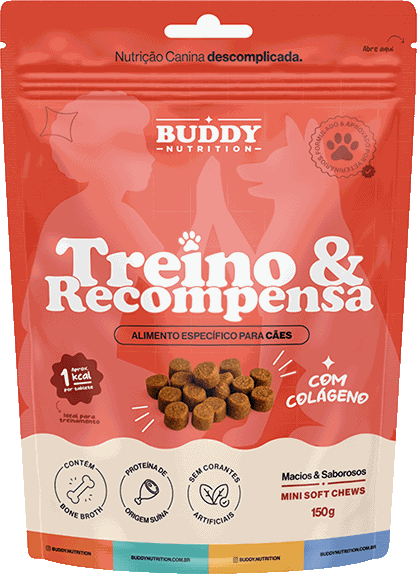 Buddy Treino e Recompensa